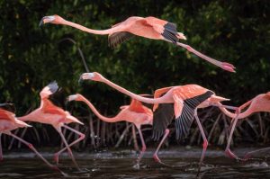 FB_IMG_1511790176094