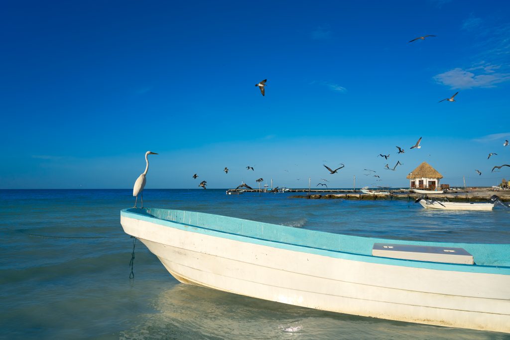 Holbox Island heron bird and boat in the beach Quintana Roo of Mexico
