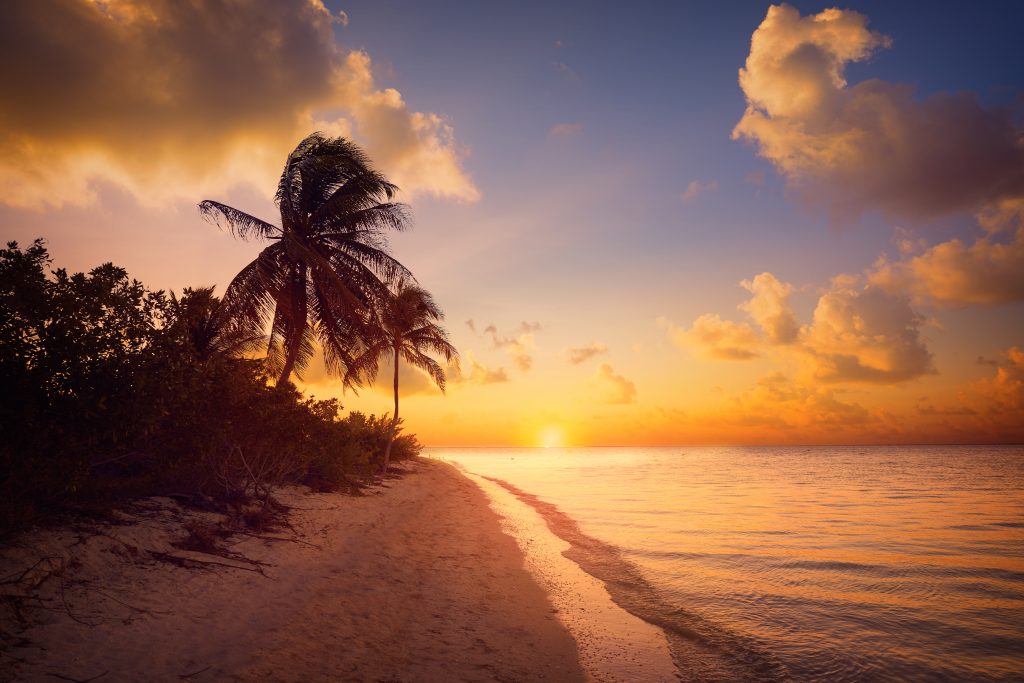 Holbox island sunset beach palm tree tropical in Mexico