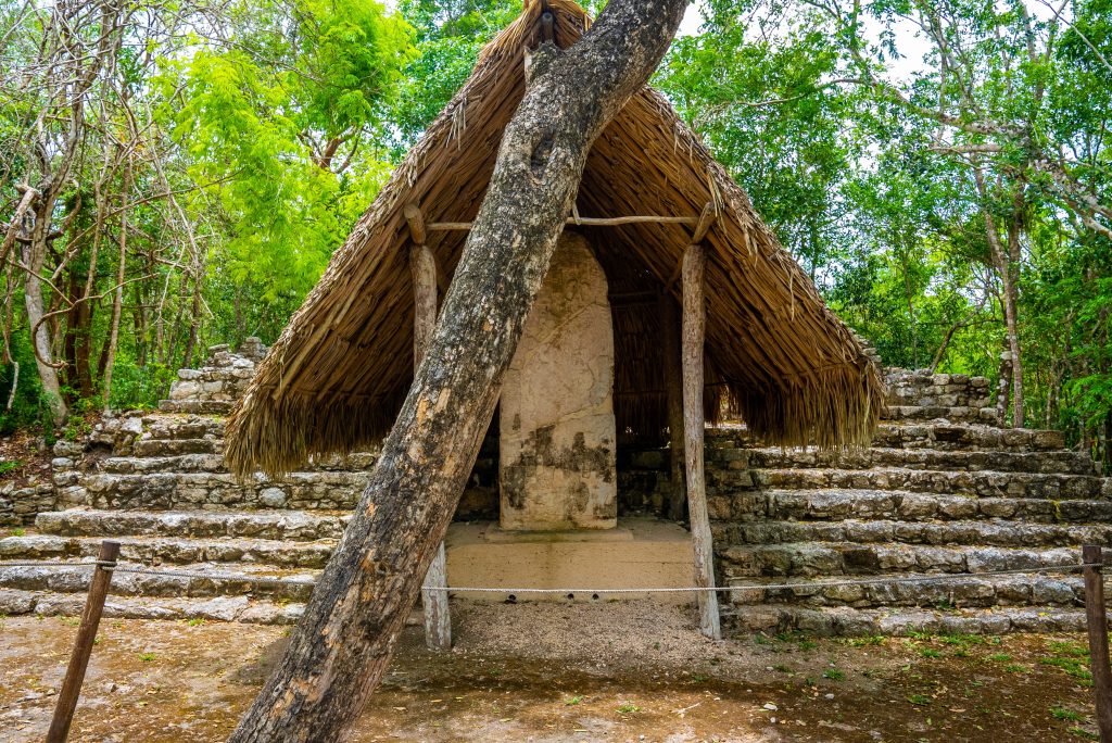 Nohoch Mul Pyramid in Coba. Pyramid and stele stone slab with stone steps in the Maya ruins of Coba