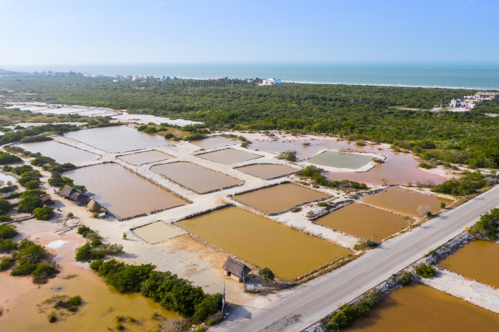 The salt ponds near Rio Lagartos, Yucatan, Mexico