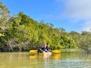 3B5AD229-9764-47F1-A291-7967CF2DC578_1_105_c