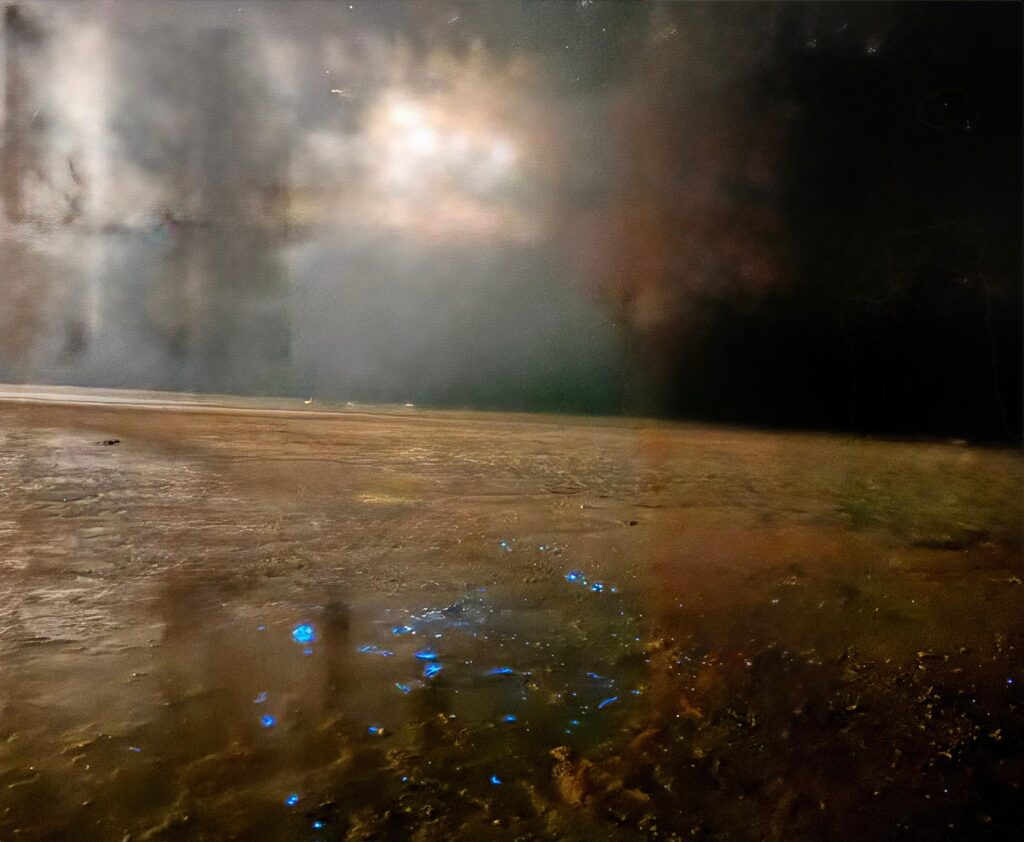 8AEA5B96-B138-4BFF-B54C-5377BE7514D0_1_102_o