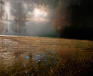 8AEA5B96-B138-4BFF-B54C-5377BE7514D0_1_102_o