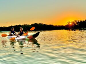 9624F848-8594-424D-9AC1-DA3E26B5AAE5_1_105_c