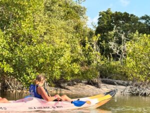 BD5C3FEC-627C-4966-AC9C-0652C6DD00B1_1_105_c